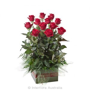 12 red roses arranged in a square box