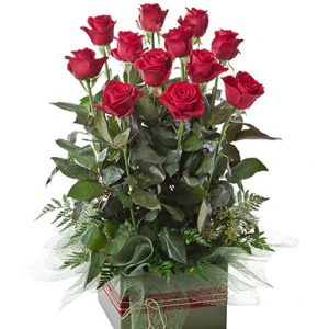 12 red roses arranged in a square box