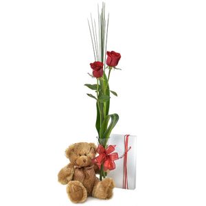 2 roses in a glass vase with a cuddly small teddy