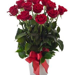 12 beautiful roses in a ceramic cylinda vase