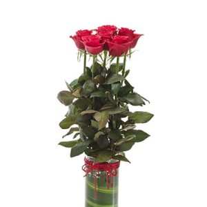 6 roses in a cylinda vase