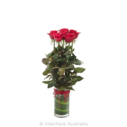 6 roses in a cylinda vase