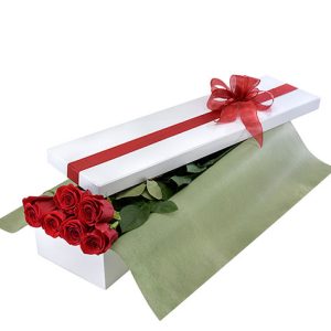 6 simple rose in a beautifully presented box.