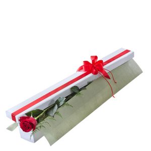 A simple rose in a beautifully presented box